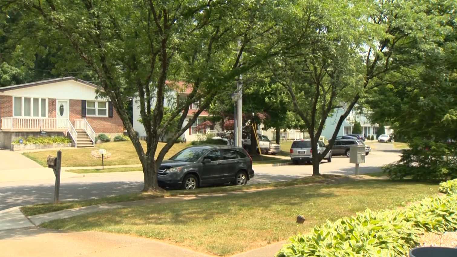 Man shot during apparent robbery in quiet Rosedale neighborhood - Vimarsana News