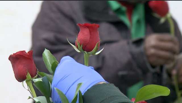 Florists face shortages, rising prices as Valentine's Day approaches - Vimarsana News