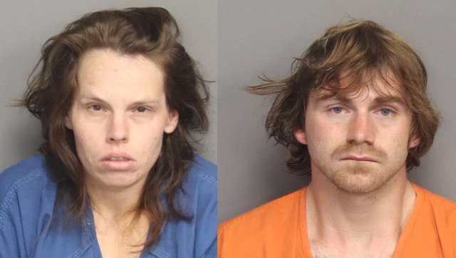South Carolina: Stolen car chase with chickens inside - Vimarsana News