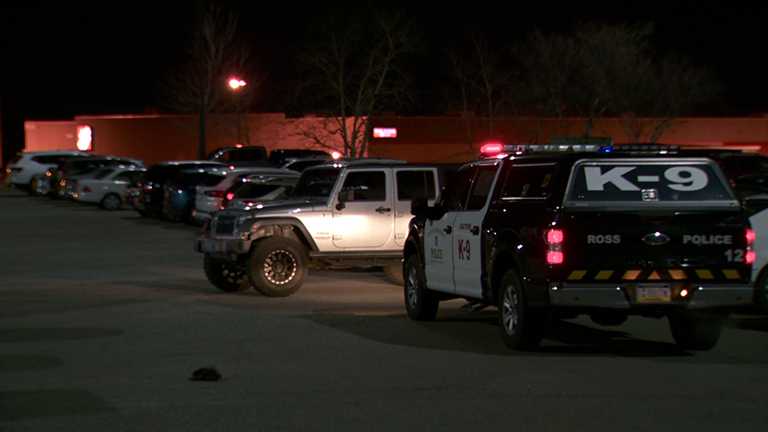 2 detained after incident at Ross Park Mall, search for others
