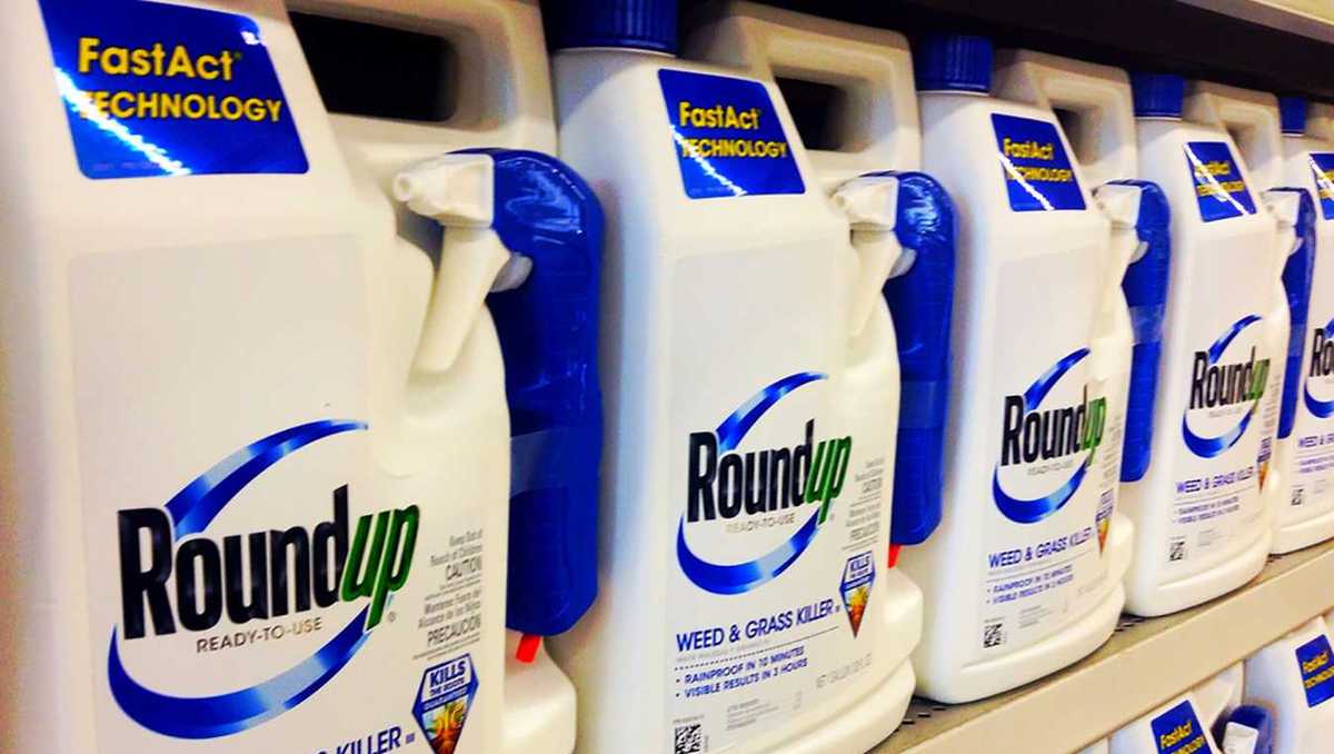 Monsanto ordered to pay 2B in Roundup weed killer cancer case