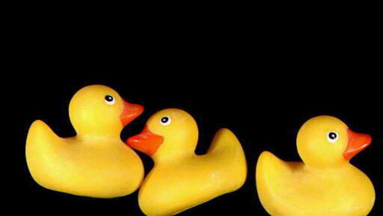 Happy National Rubber Ducky Day! The colorful toy's history