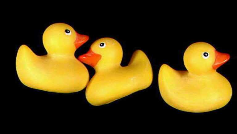 totaal Lieve Extreem Happy National Rubber Ducky Day! The colorful toy's history