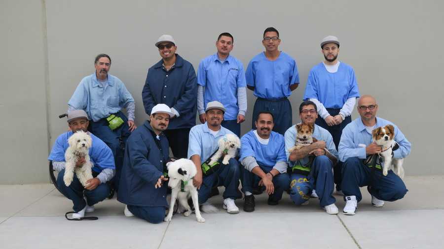 Program that pairs inmates with shelter dogs expands at Salinas Valley