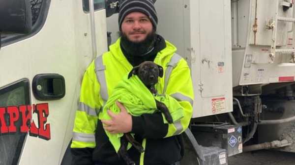 Worker rescues puppy abandoned in Ohio in discarded backpack - Vimarsana News