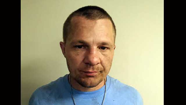 North Carolina: Cows help police arrest suspect after chase - Vimarsana News