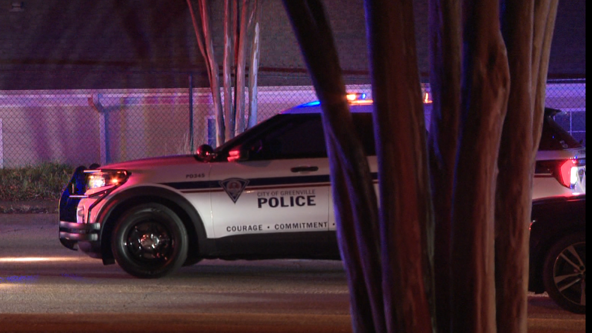 Coroner identifies pedestrian who was killed in a crash - WYFF