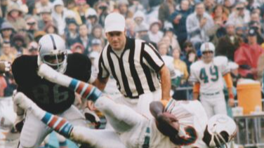 ginn miami dolphins 1972