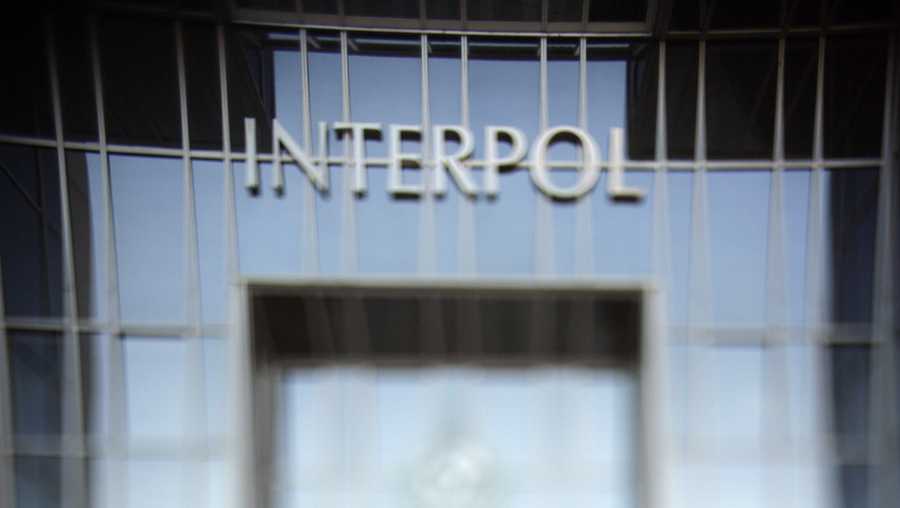 Interpol has saved 50 children and prosecuted nine sex offenders after uncovering an international pedophile ring that was sharing child abuse images on the dark web.