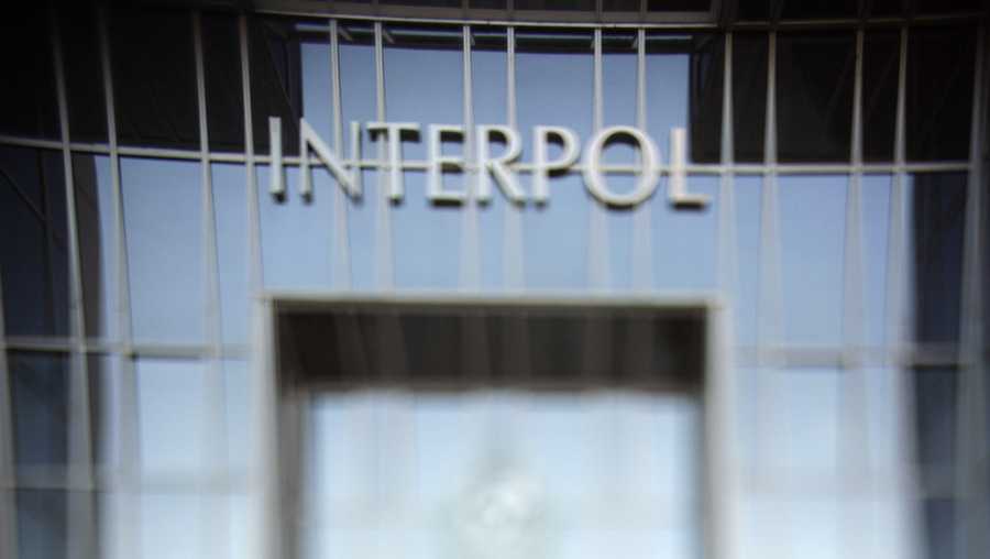 Interpol has saved 50 children and prosecuted nine sex offenders after uncovering an international pedophile ring that was sharing child abuse images on the dark web.