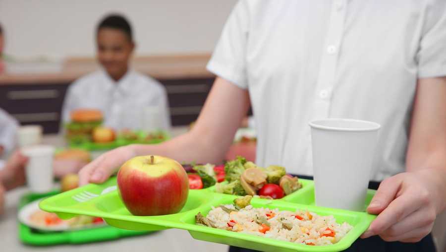 Minnesota school threw out hot meals of students with over $15