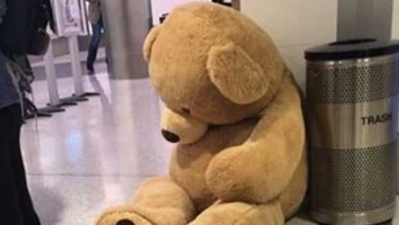 A teddy bear abandoned at LAX after it couldn't clear a security checkpoint.