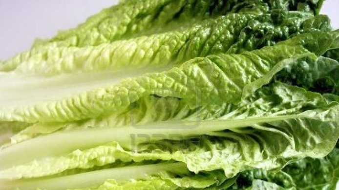 North Carolina included in latest romaine lettuce recall