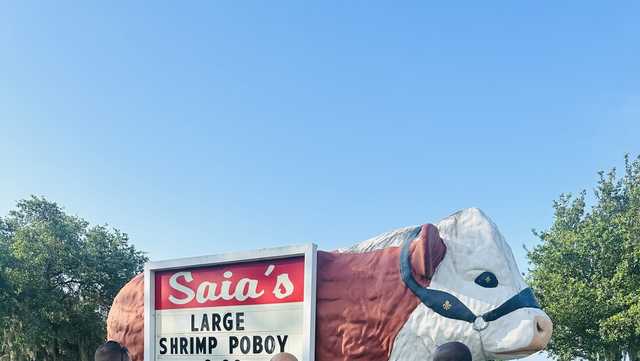 Mandeville Saia's iconic cow stolen, returned - Vimarsana News