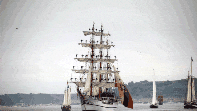 Sail Boston 2026: Countdown to the Parade of Sail