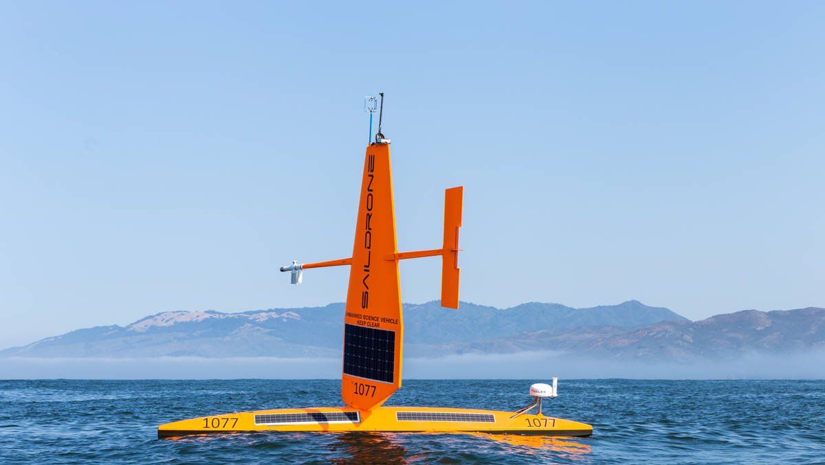 How autonomous sailboats can help protect bats from wind turbines