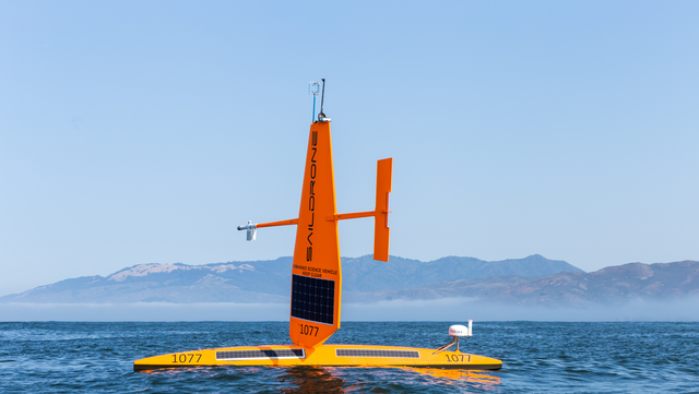 How autonomous sailboats can help protect bats from wind turbines - Vimarsana News