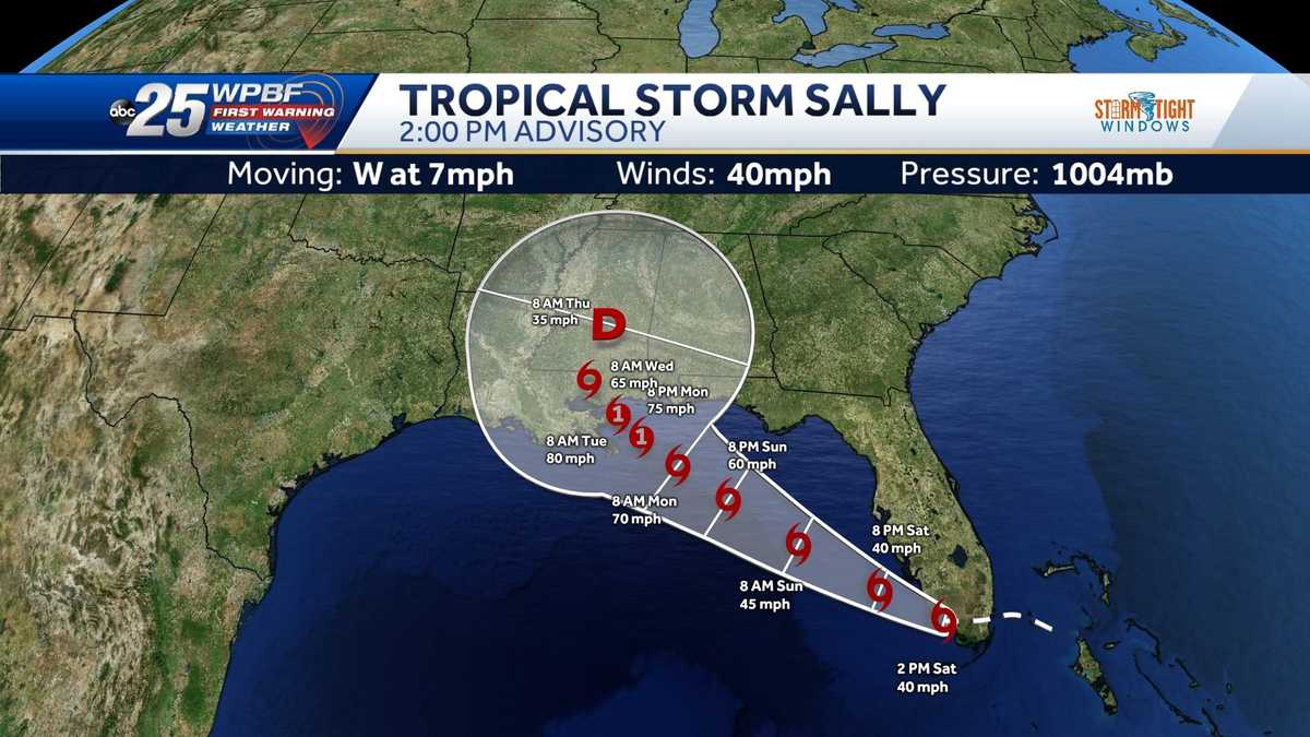 Tropical Storm Sally forms in the Gulf of Mexico