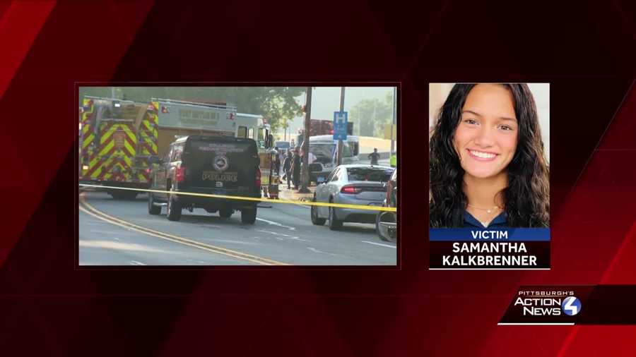 Attorney for suspect in fatal Dravosburg crash says driver of school