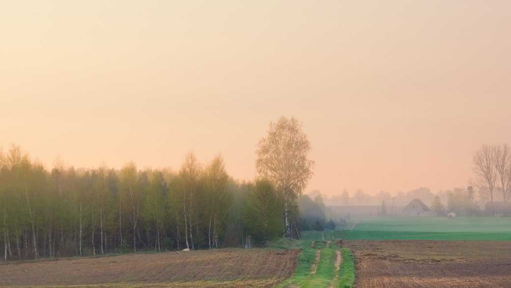 San Benito County allowed to expand Stage 2 reopenings