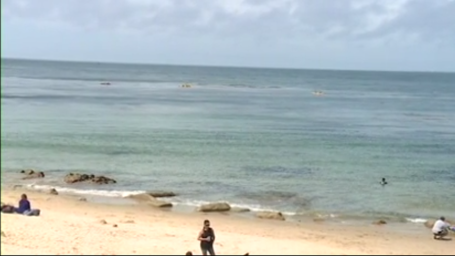 A diver was hospitalized after being recovered from the water of San Carlos Beach Saturday