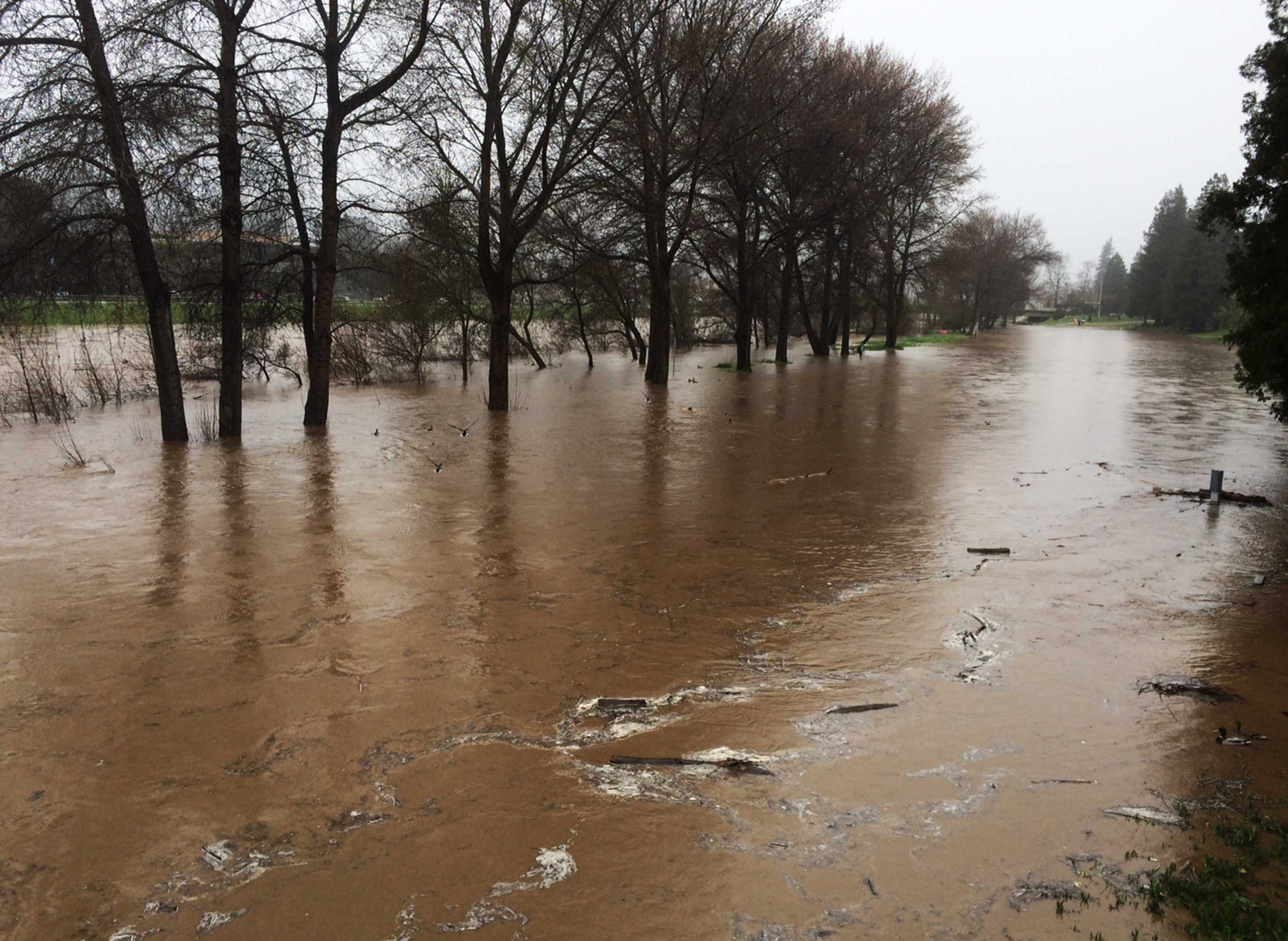 San Lorenzo River floods between Santa Cruz and Felton