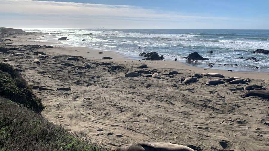 San Simeon Beach