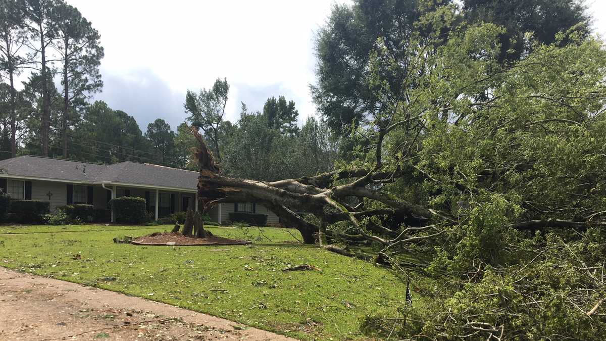 Photos Tornado causes damage in Madison