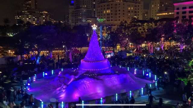 Sandi Tree returns to West Palm Beach - Vimarsana News