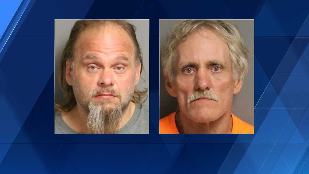 Hoover police arrest brothers in string of vehicle burglaries