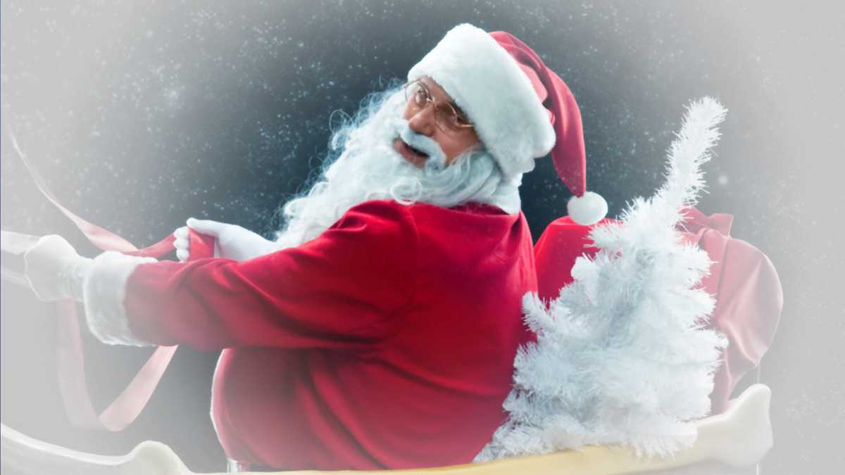 2025 winter guide: Christmas tree farms, holiday performances, & more