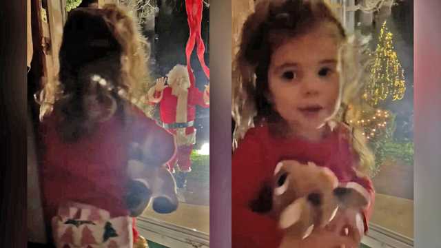 Preschooler not fooled by fake Santa in viral video - Vimarsana News