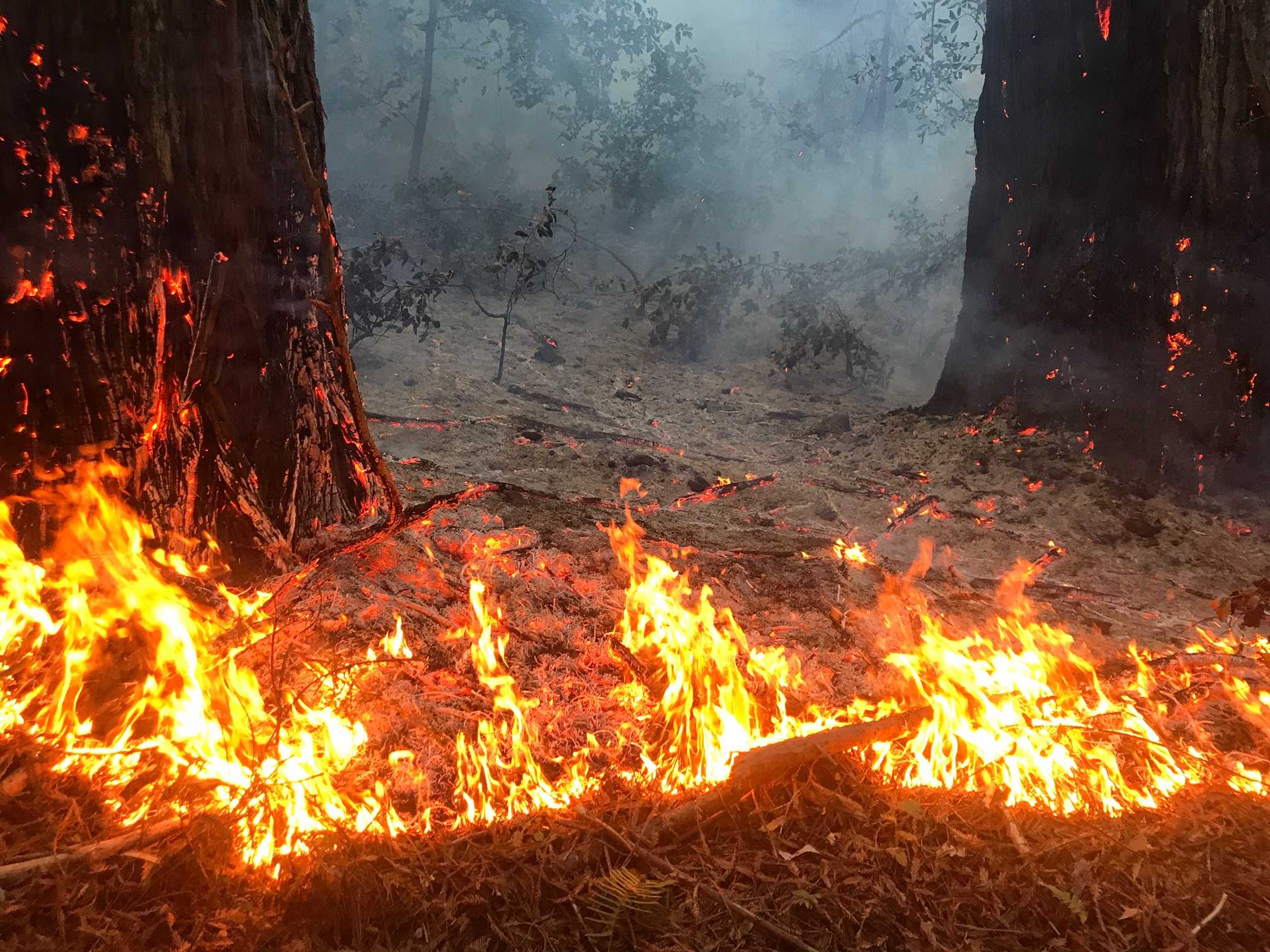 Cal Fire tackles 2nd vegetation fire in Santa Cruz in 4 days