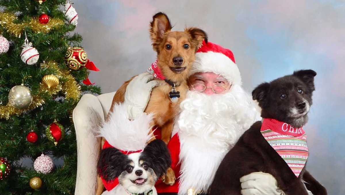 Santa's coming to town to help local pets