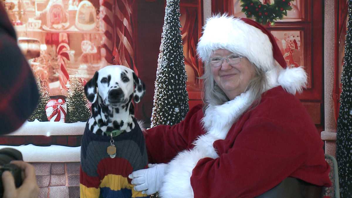 Best Friends Pet Resource Center getting into the holiday spirit