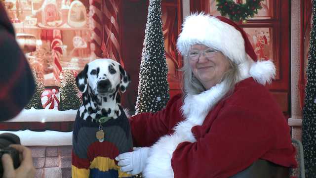 Best Friends Pet Resource Center getting into the holiday spirt - Vimarsana News