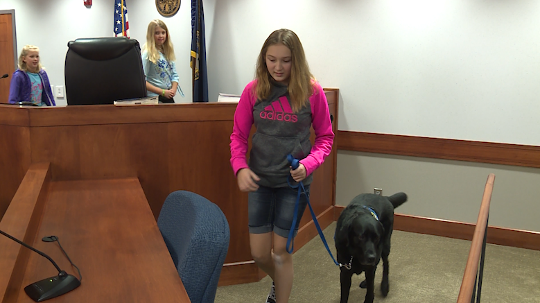 Courthouse dog helps young girl testify against uncle in murder trial