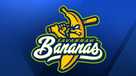 Savannah Bananas