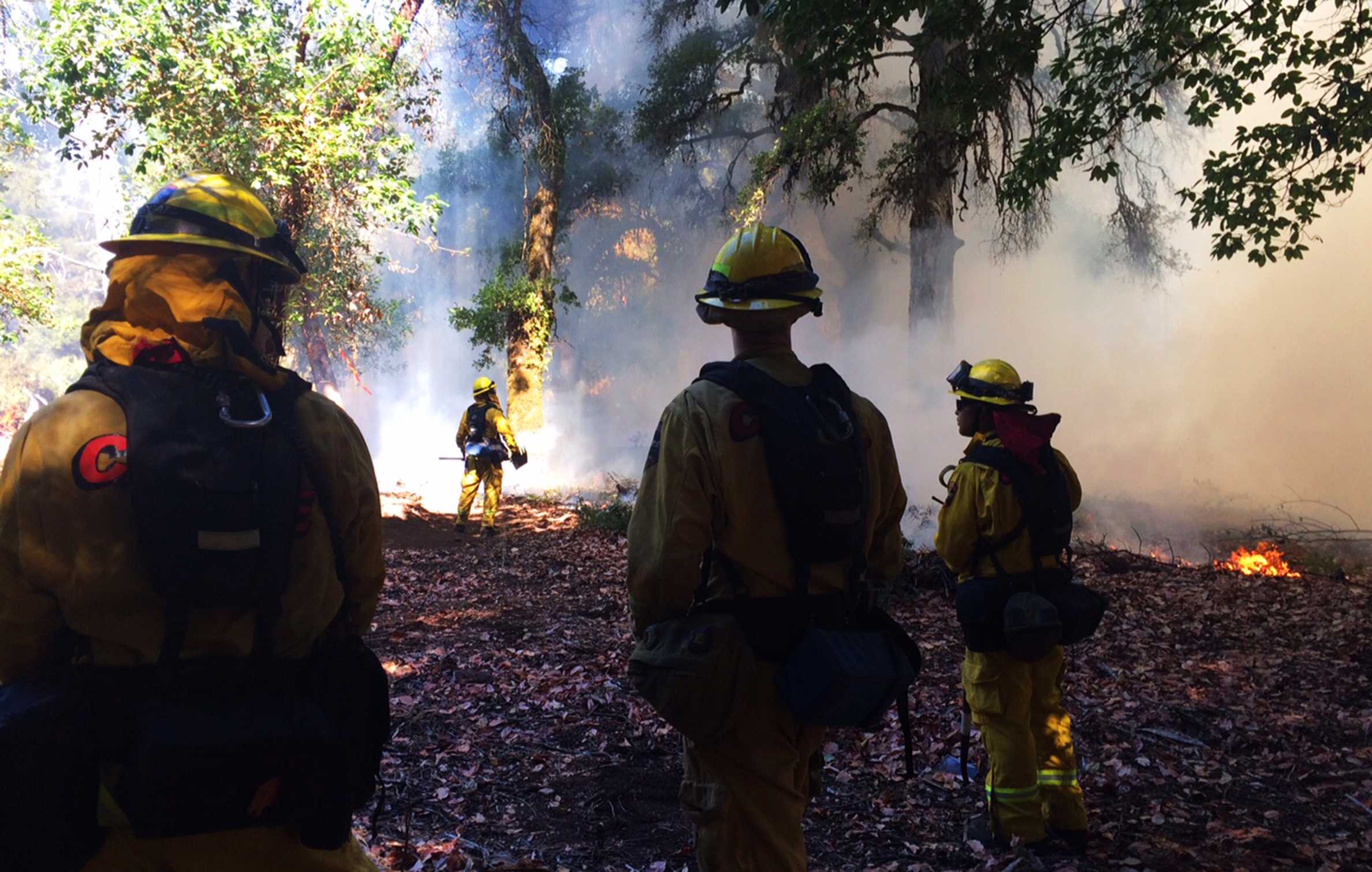 Prescribed Burn In Santa Cruz Mountains Monday