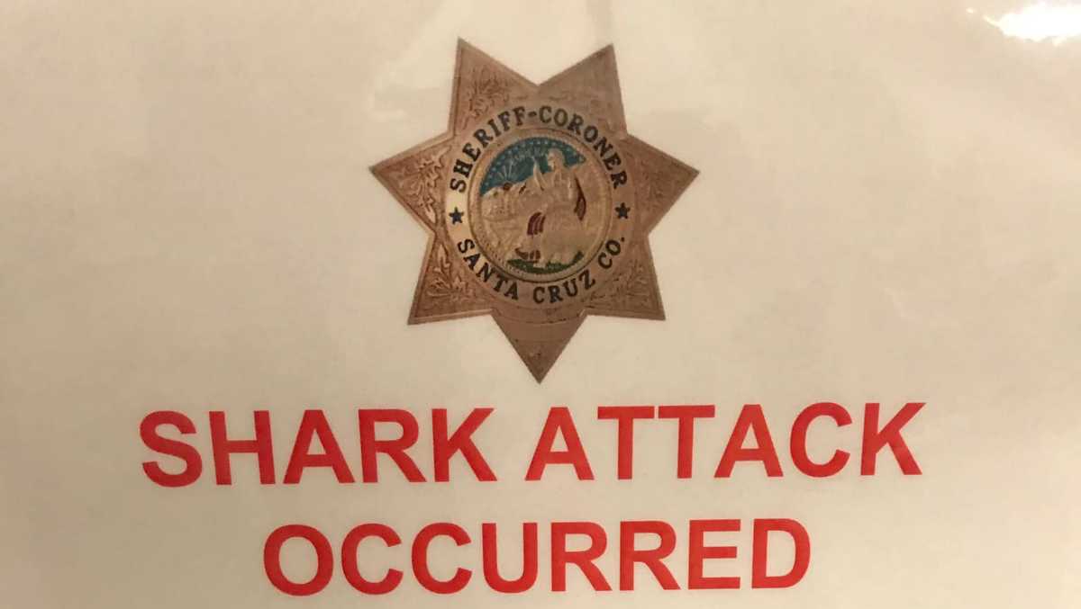 26-year-old man killed in shark attack off Santa Cruz County coast - KSBW
