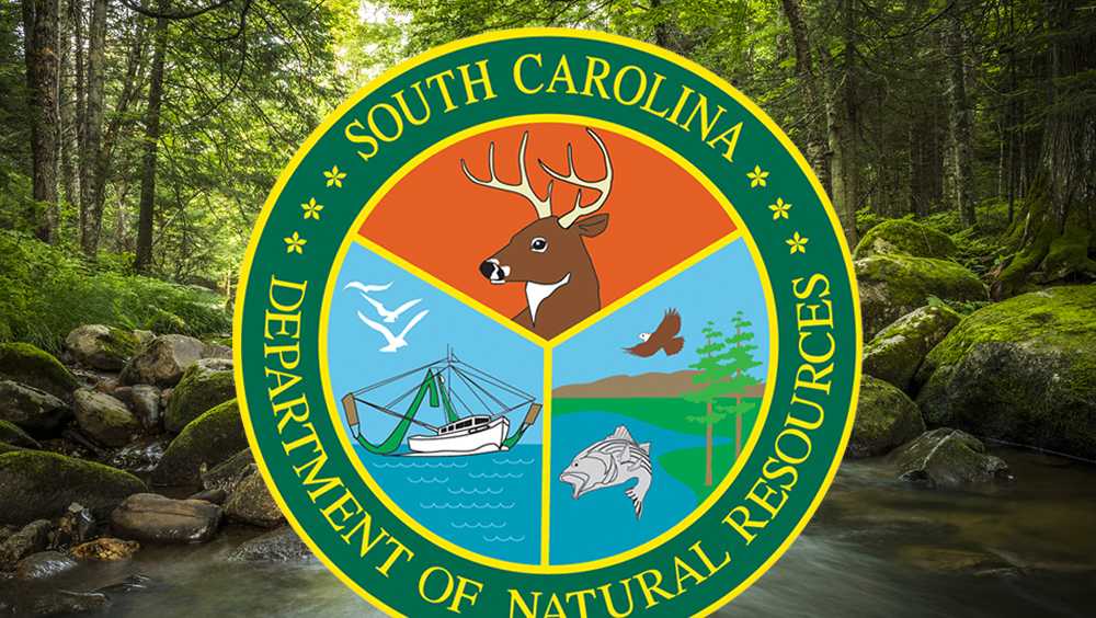 South Carolina makes first arrest under new abandoned boat law