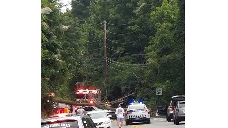 Tree falls on car in Lancaster County; Injuries reported