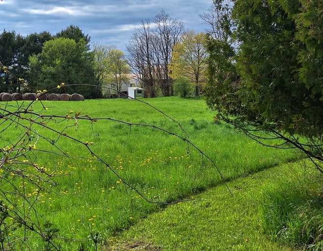 Kibbe Farm Road in South Hero