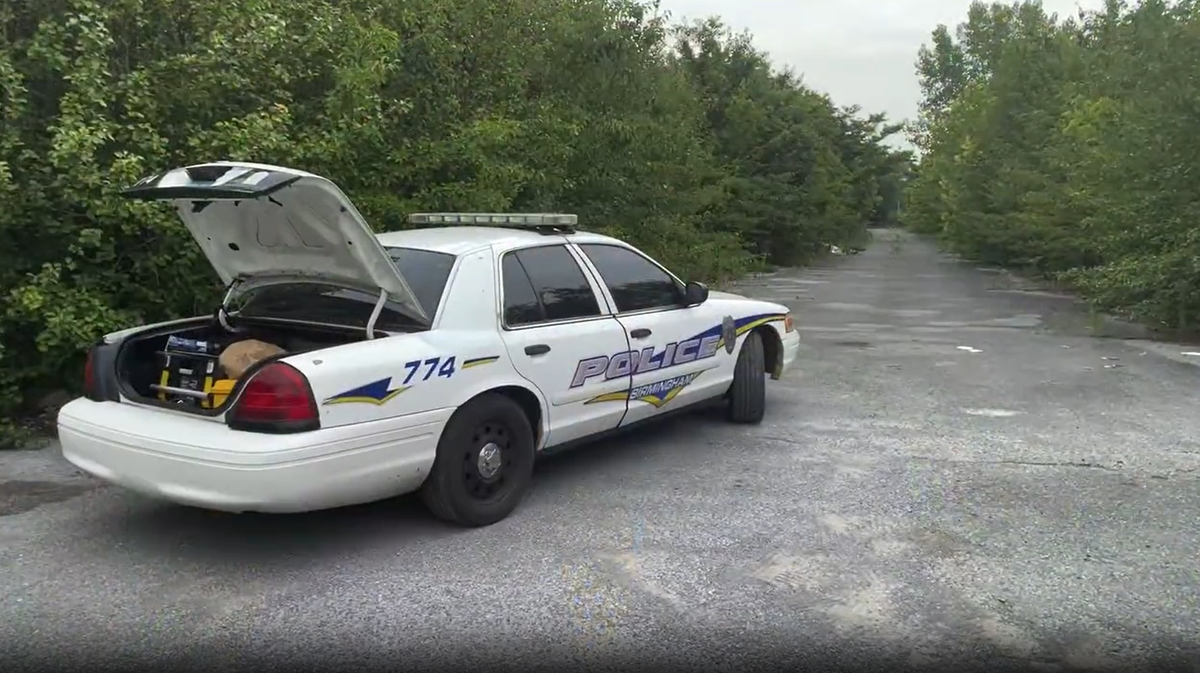 Alabama police investigating body found in wooded area