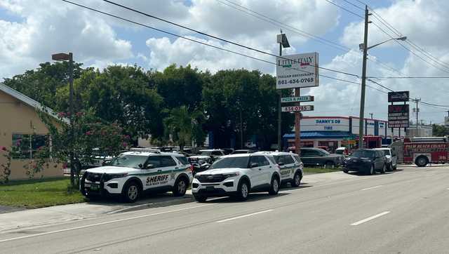 Florida man threatens child with weapon - Vimarsana News