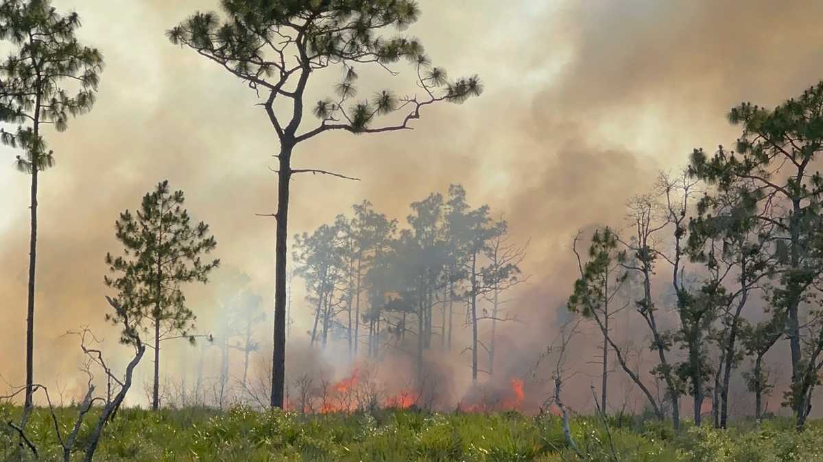 Crews battling 2 separate brush fires in Seminole County