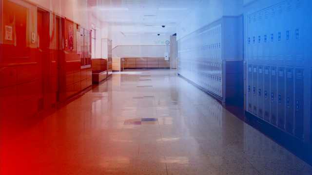 South Carolina: FBI investigates school threats - Vimarsana News
