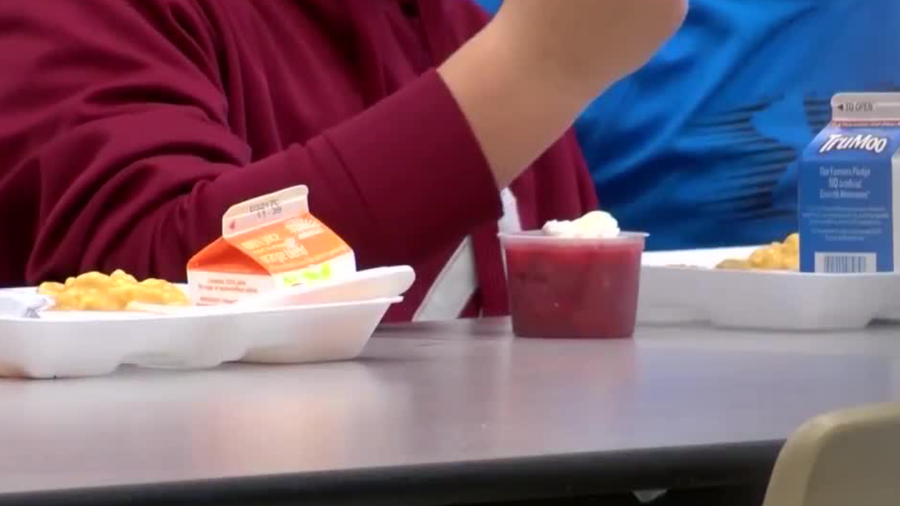 Can You Get In Trouble For Selling Food At School School Walls