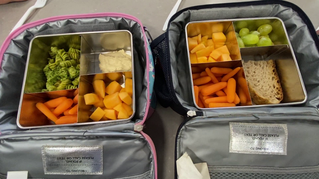 Nutritionist shares secrets of easier, healthier back to school lunches - Vimarsana News
