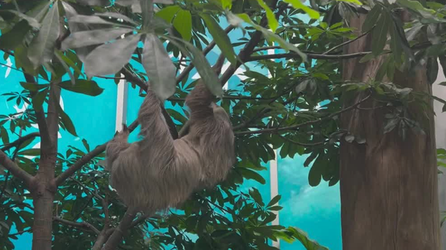 Orlando Science Center has grand opening of new 'Life' exhibit - Vimarsana News